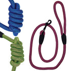 Correa para Perro 1,2x120cm Market Suprem